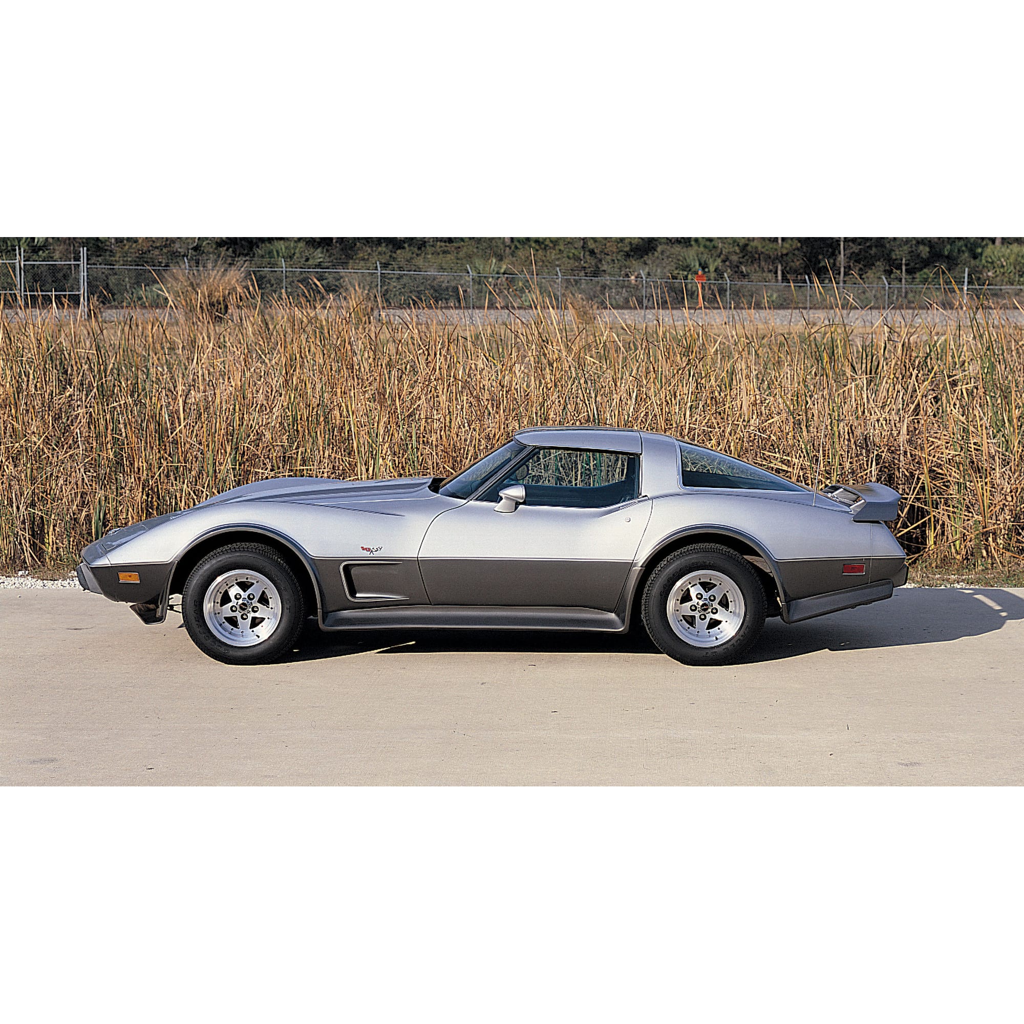 C3 New Body Stripe Decal Kit, Silver Anniversary 1978