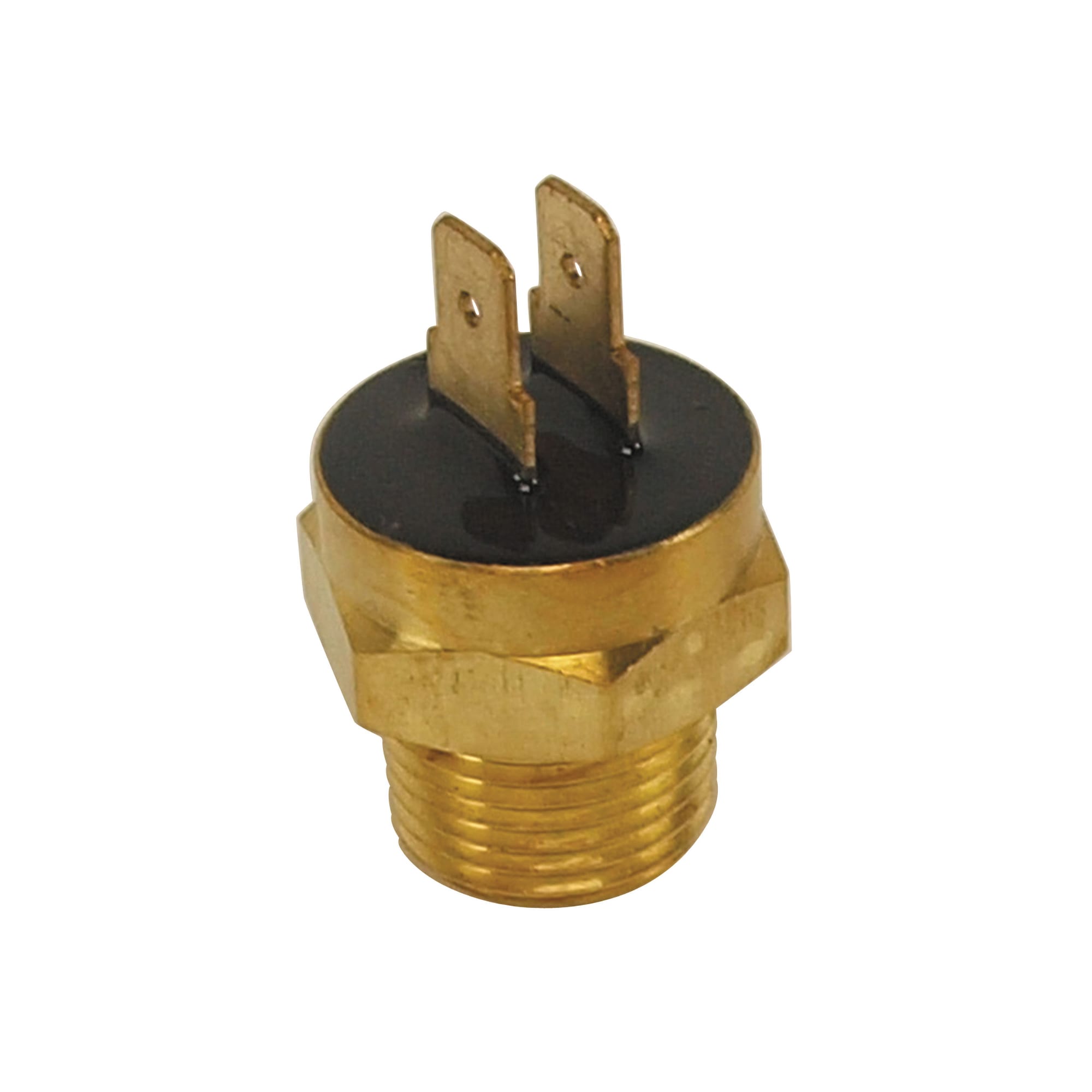 C3 New Radiator Cooling Fan Switch 1981-1982
