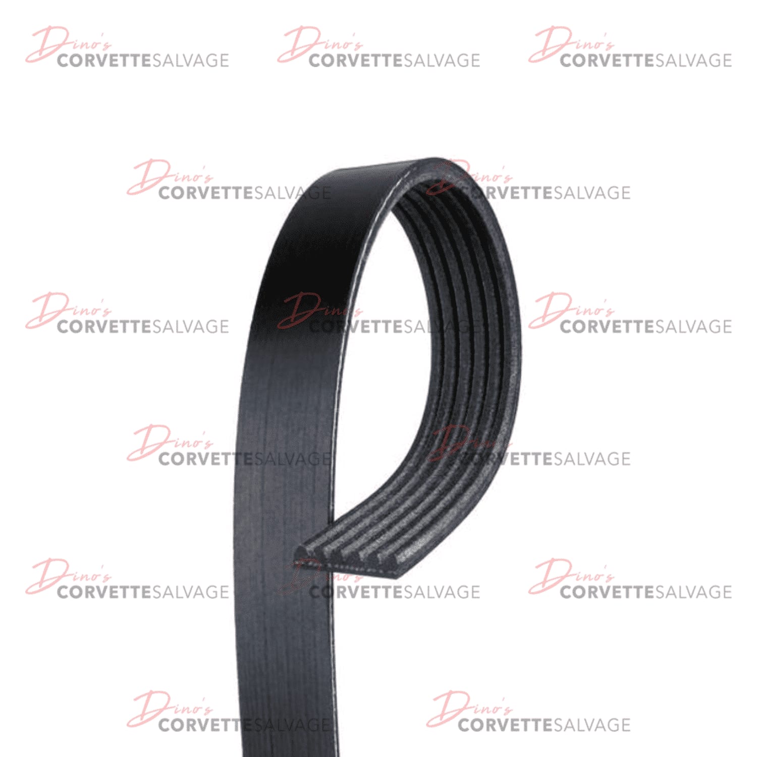 C5 Used Drive Belt 1997-2004