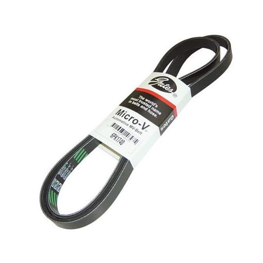 C6 New 6.2L Gates Micro-V Serpentine Belt 2006-2013