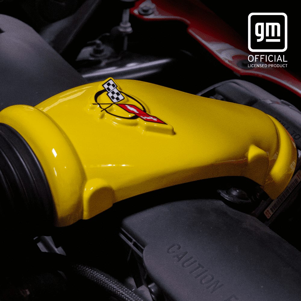 C5 New Painted Air Bridge Cover 1997-2004