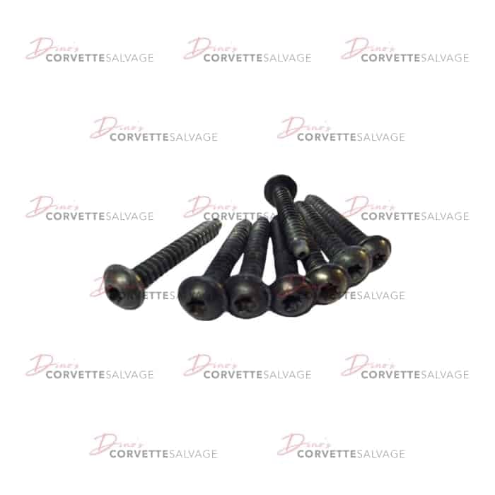 C5 Used Tail & Backup Light Mounting Screw Set 1997-2004