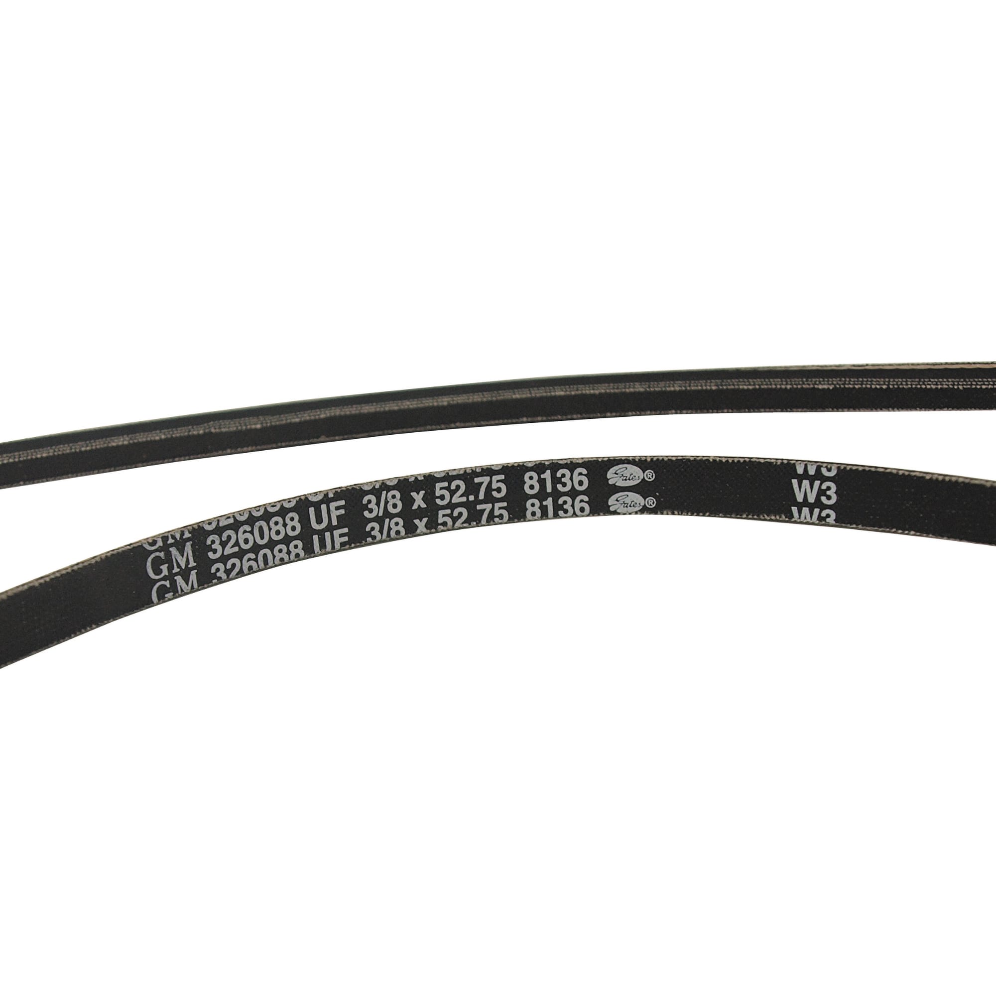 C3 New Alternator 350 Belt (Without Air Conditioning) 1973-1974 (Image 3)